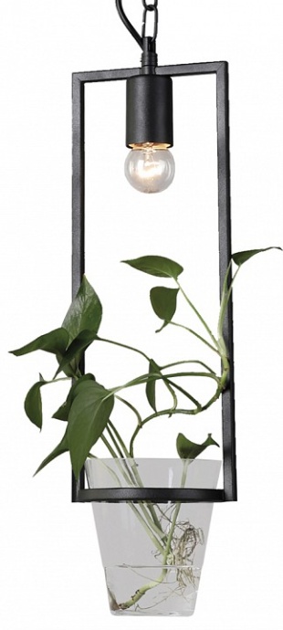 Подвесной светильник Favourite Situla 1976-1P - 0