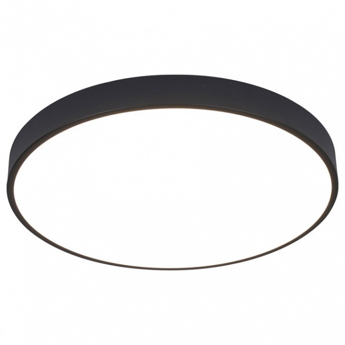 Потолочный светодиодный светильник Arte Lamp Arena A2672PL-1BK - 0