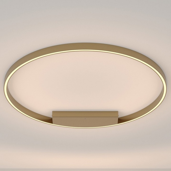 Накладной светильник Maytoni Rim MOD058CL-L50BS3K - 0