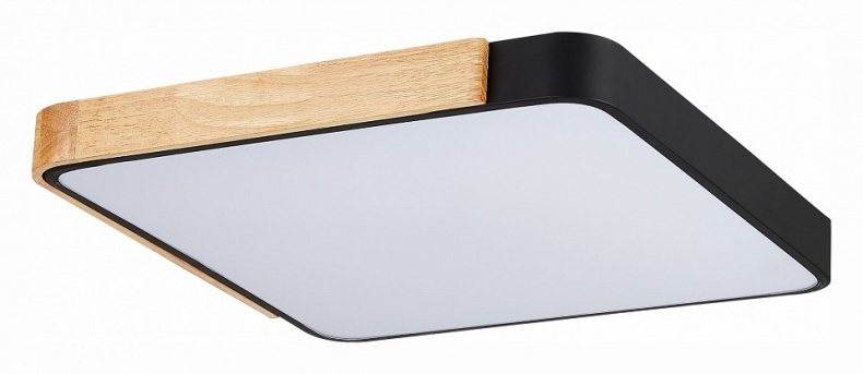 Накладной светильник EVOLUCE Festa SLE201242-01 - 0