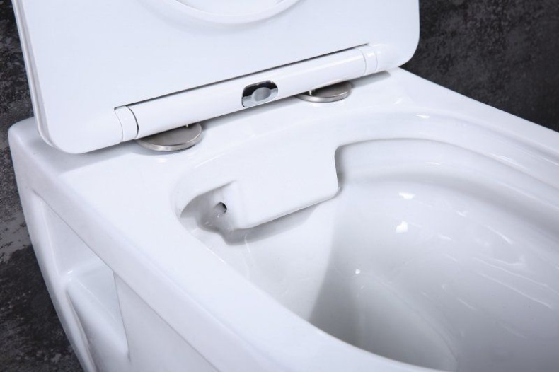 Сиденье для унитаза BelBagno Loto белый  BB070SC - 5