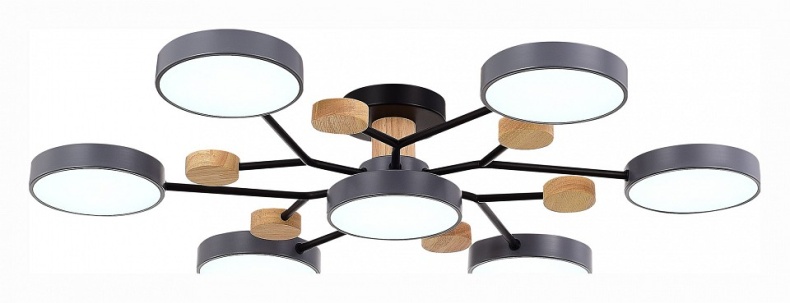 Потолочная люстра EVOLUCE Faema SLE6006-702-07 - 1