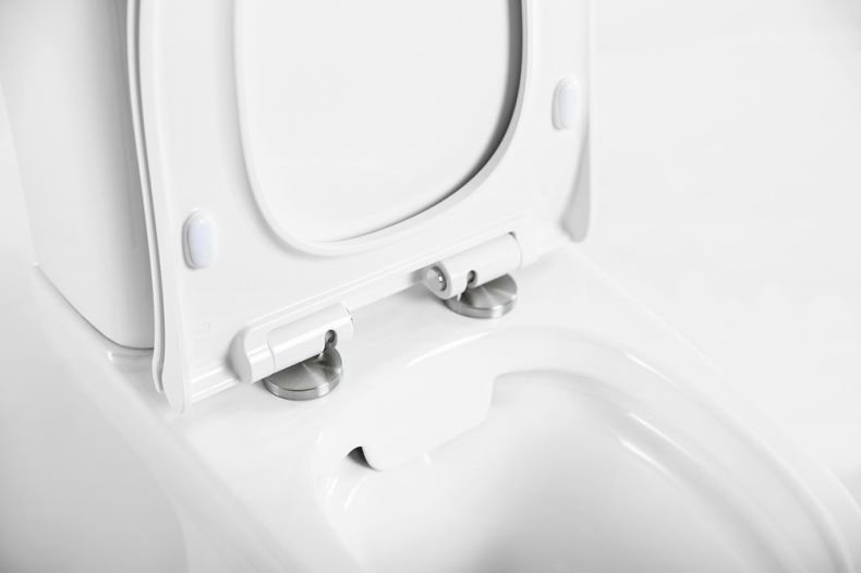 Чаша для унитаза-компакта BelBagno Steam  BB130CPR - 6