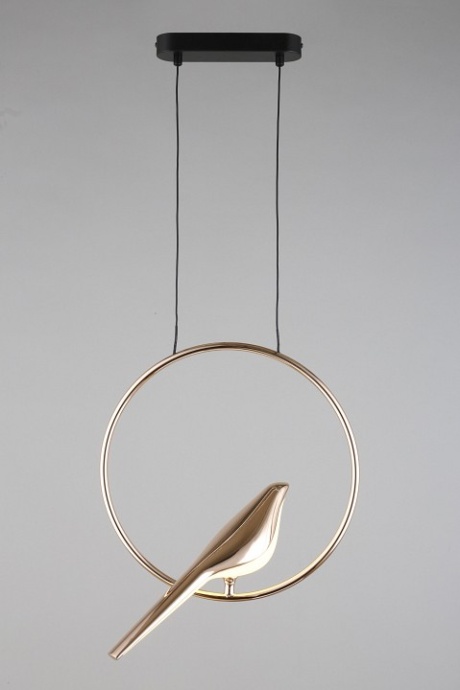 Подвесной светильник Aployt Astor APL.822.06.10 - 5