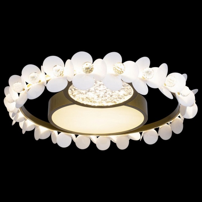 Накладной светильник Loft it Bride 10174 - 1