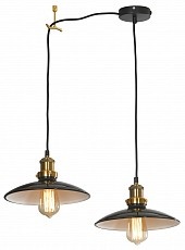 Подвесной светильник Lussole Glen Cove LSP-9604-2 - 1