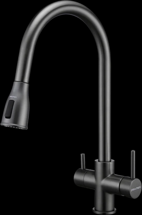 Смеситель для кухни Paulmark Lange темный хром La214212-GM - 0