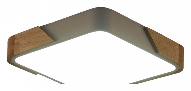 Накладной светильник Zortes ALBERRO ZRS.01285.36 - 1