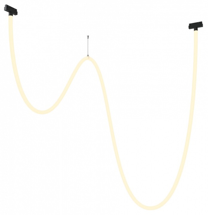 Подвесной светильник Maytoni Tau TR101-2-100W3K-B - 0