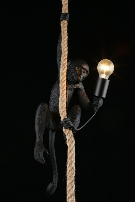 Подвесной светильник Aployt Magali APL.309.16.01 - 5