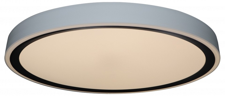 Накладной светильник Zortes BELLA ZRS.1201.11 - 6