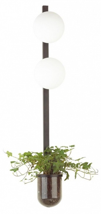 Настенный светильник Odeon Light Walli Flower 4681/2WA - 0