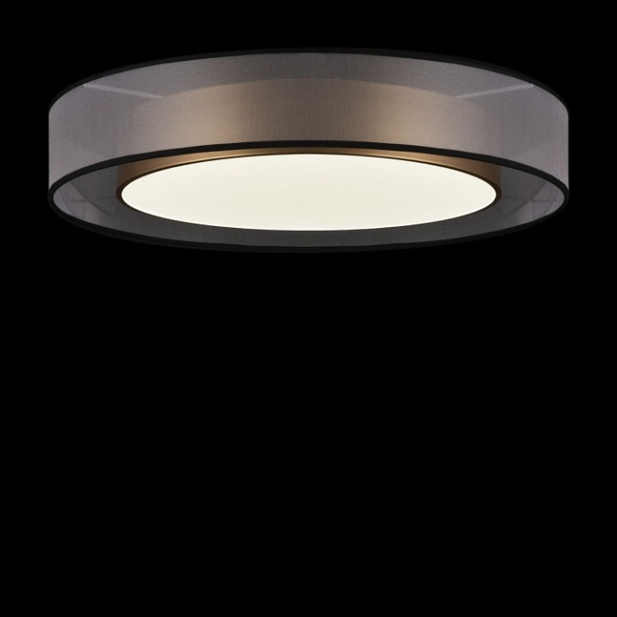 Потолочный светодиодный светильник Freya Zoticus FR6005CL-L48G - 1