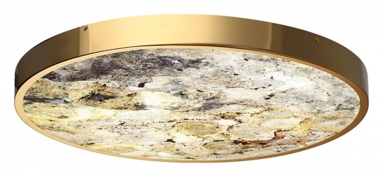 Накладной светильник Odeon Light Bergi 5079/50L - 4