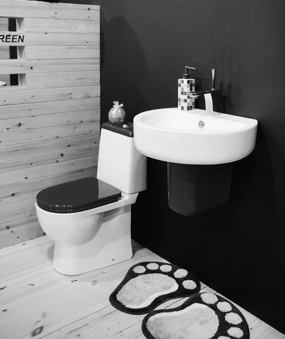 Унитаз-компакт Sanita luxe Best Color Black с микролифтом BSTSLCC06100522 - 2