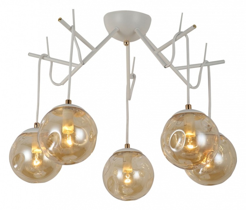 Потолочная люстра EVOLUCE Calletta SLE110202-05 - 0