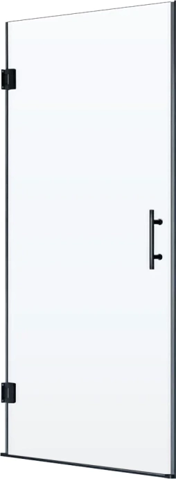 Душевая дверь RGW Hotel HO-011B 80х195 профиль черный стекло прозрачное 350601108-14 - 0