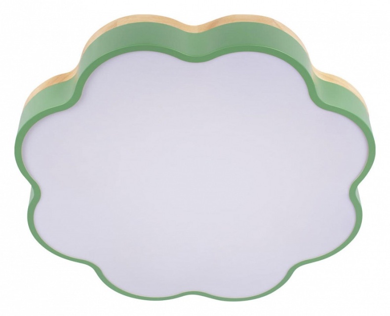 Накладной светильник Loft it Axel 10225/36 Green - 3