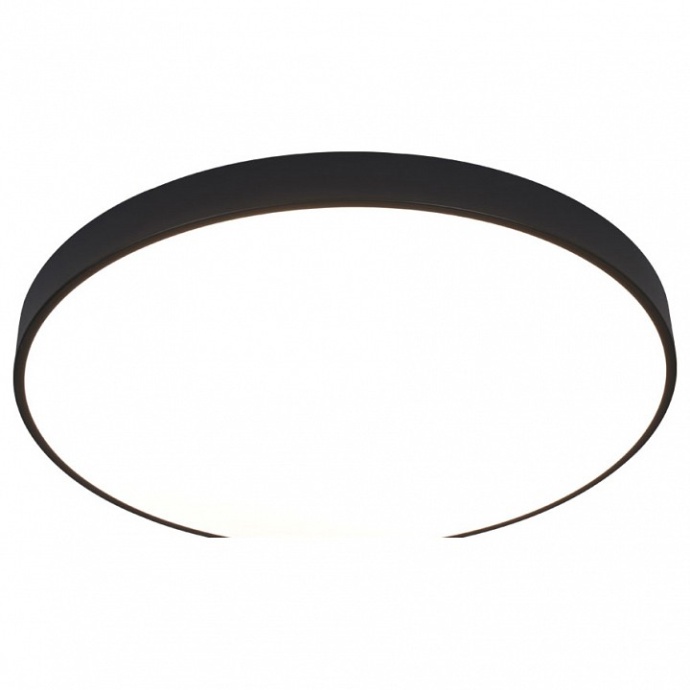 Потолочный светодиодный светильник Arte Lamp Arena A2673PL-1BK - 0