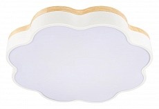 Накладной светильник Loft it Axel 10225/36 White - 1