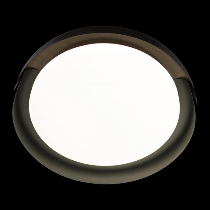 Накладной светильник Loft it Coin 10198 Black - 5