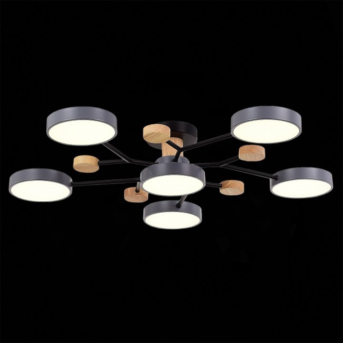 Потолочная люстра EVOLUCE Faema SLE6006-702-06 - 4