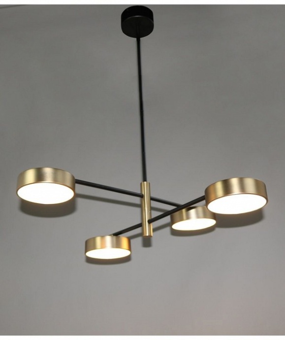 Подвесная люстра Zortes Lunar ZRS.01243.04 - 1