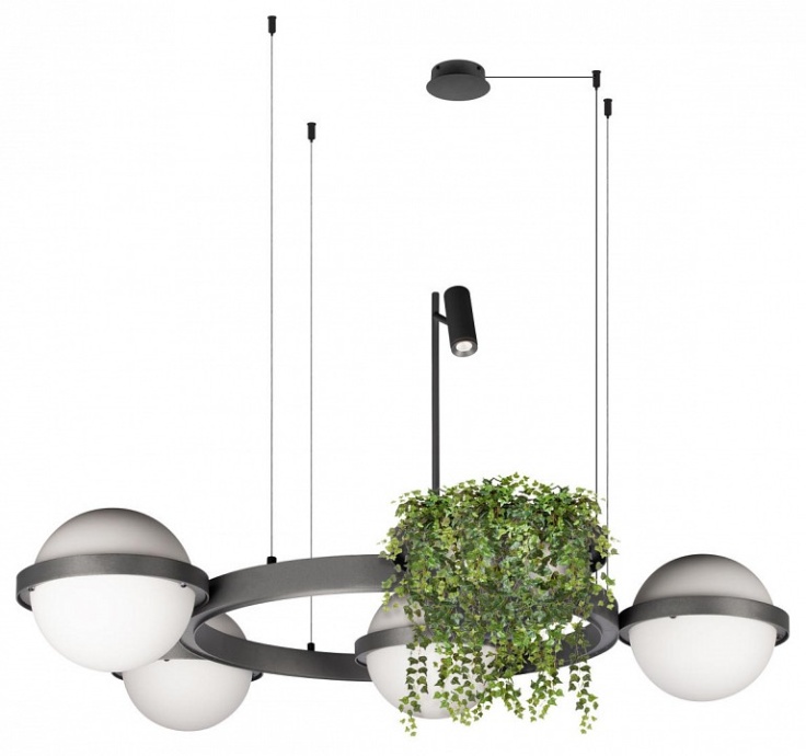 Подвесная люстра Loft it Jardin 10121/4 Dark grey - 1