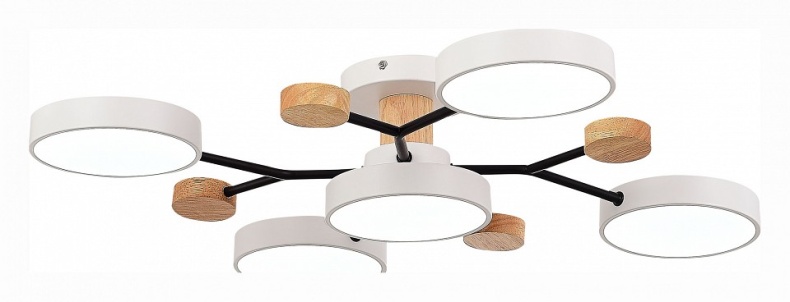 Потолочная люстра EVOLUCE Faema SLE6006-502-05 - 1