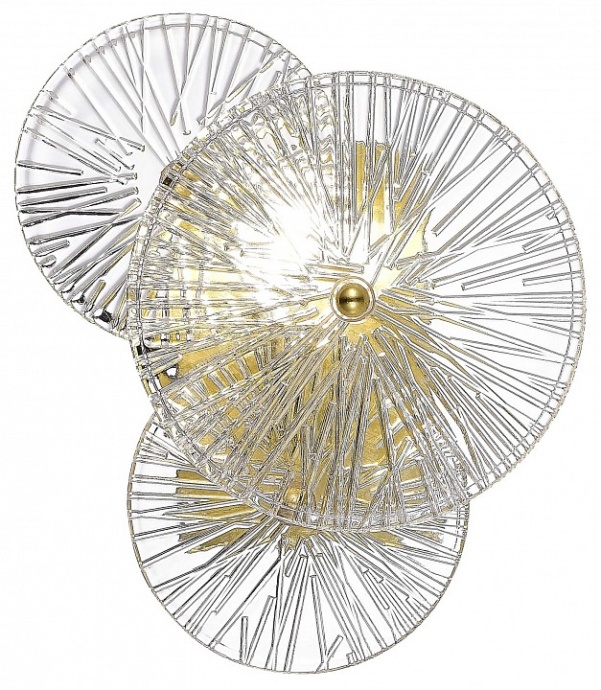 Накладной светильник ST-Luce Flero SL1657.201.01 - 2