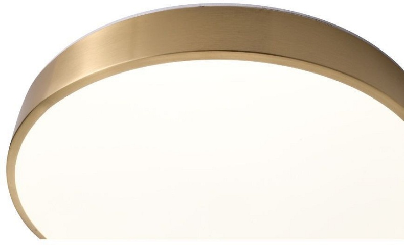 Накладной светильник Zortes Monna ZRS.1209.11 - 3