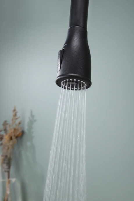 Смеситель для кухни Paulmark Lange черный матовый La214212-418 - 17