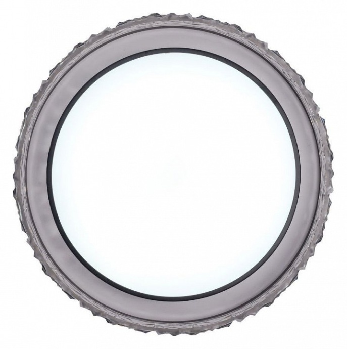 Накладной светильник Zortes Adel ZRS.1200.02 - 4