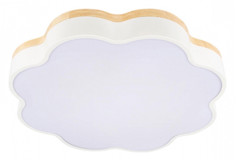 Накладной светильник Loft it Axel 10225/36 White - 0