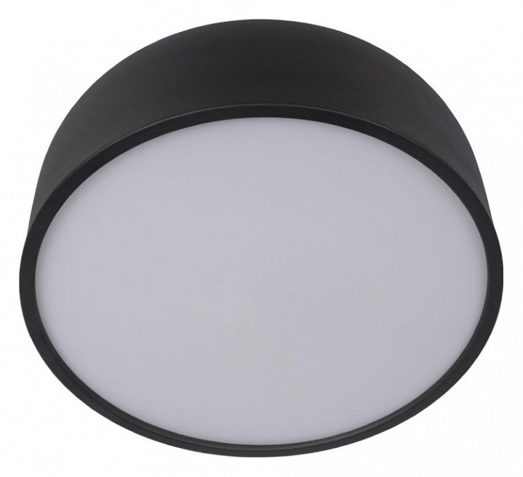 Накладной светильник Loft it Axel 10201/350 Black - 1