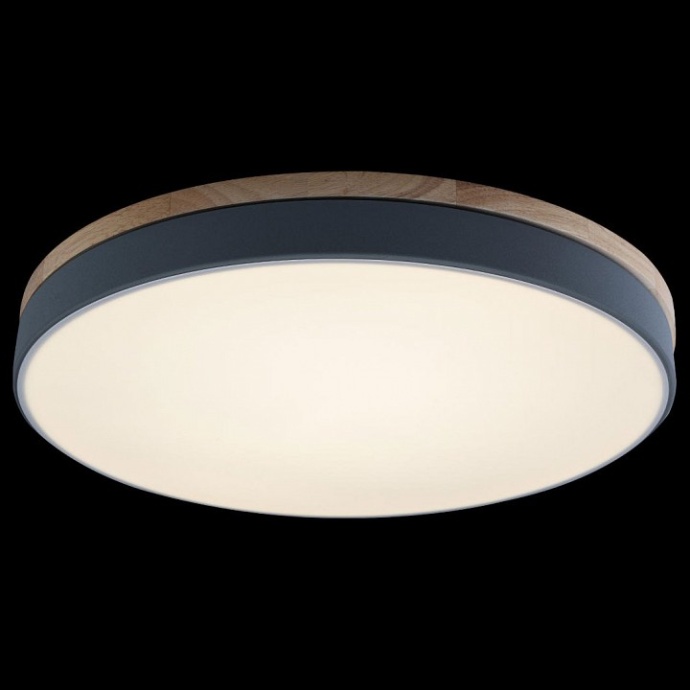 Накладной светильник Loft it Axel 10001/36 Grey - 1