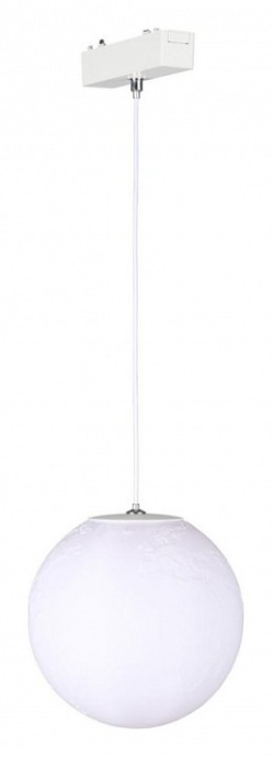 Подвесной светильник Aployt Magnetic track 48 APL.0123.10.06 - 0