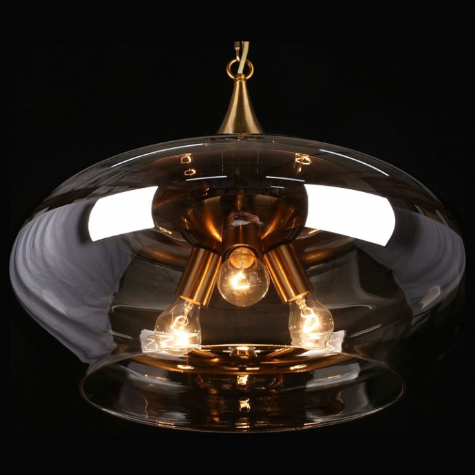 Подвесной светильник Aployt Franko APL.601.16.03 - 6