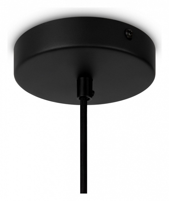 Подвесной светильник Maytoni Roots MOD195PL-01W1 - 2