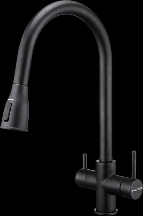 Смеситель для кухни Paulmark Lange черный матовый La214212-418 - 0