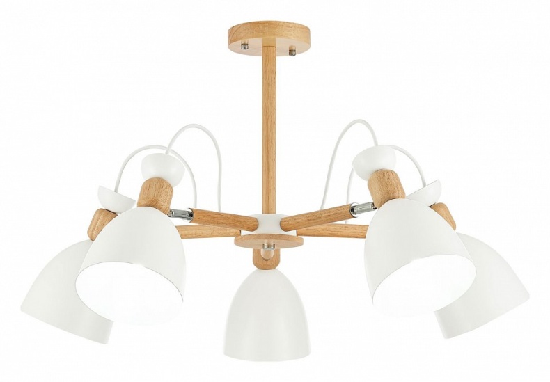 Люстра на штанге EVOLUCE Balcamo SLE103802-05 - 0