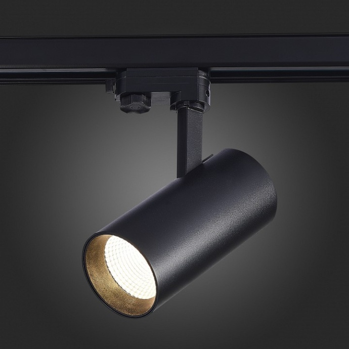 Светильник на штанге ST-Luce Трехфазная трековая система ST661.446.30 - 2