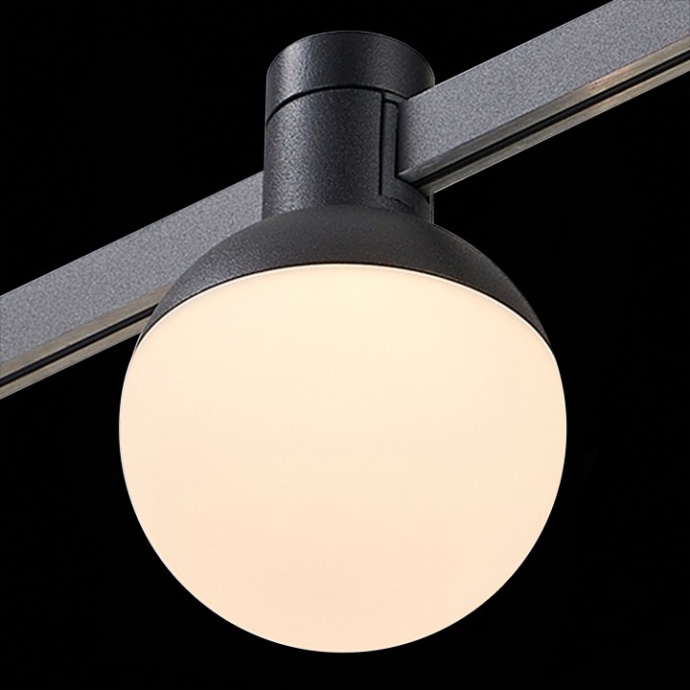 Светильник на штанге ST-Luce Farm ST815.406.05 - 6