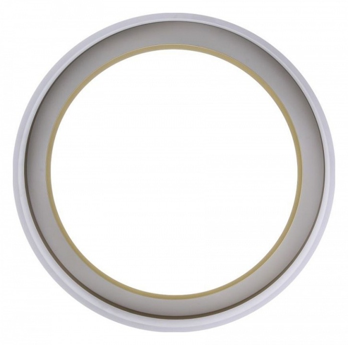 Накладной светильник Zortes Adel ZRS.1200.01 - 6