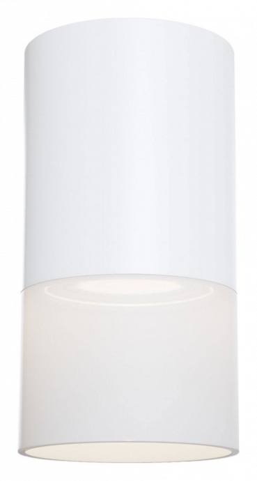 Потолочный светильник Maytoni Pauline C007CW-01W - 0