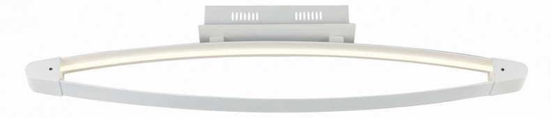 Накладной светильник ST-Luce SL920 SL920.102.01 - 0