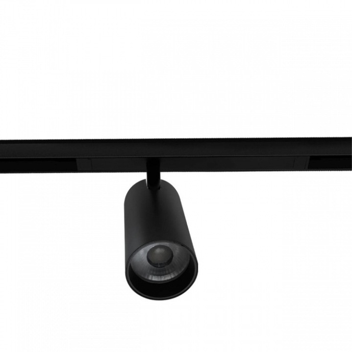 Светильник на штанге Aployt Magnetic track 220 APL.0205.00.20 - 2