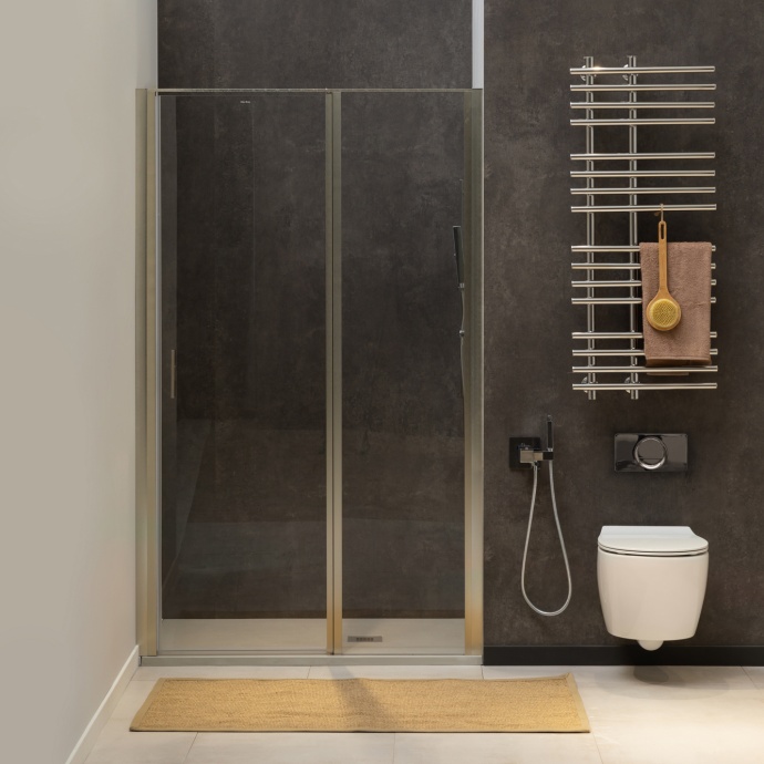 Душевая дверь в нишу Allen Brau Priority 3.31005.BA 100 - 0