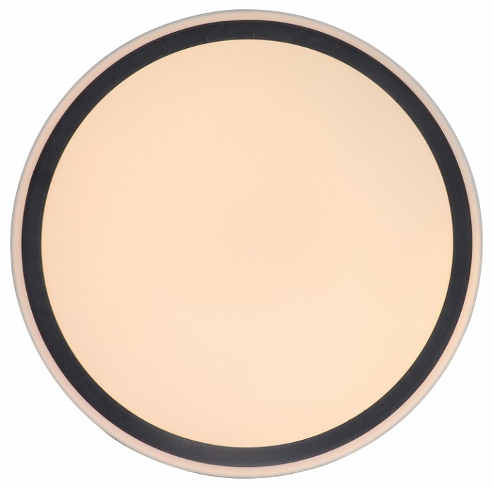 Накладной светильник Zortes BELLA ZRS.1201.11 - 1