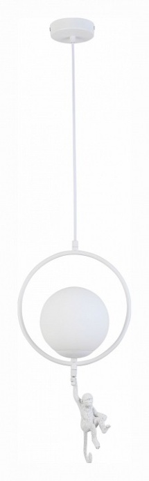 Подвесной светильник EVOLUCE Tenato SLE115113-01 - 1